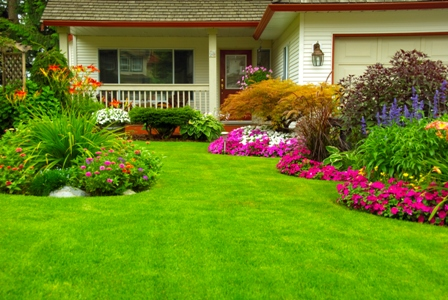 landscaped front yard with green lawn