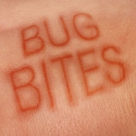 bug_bites