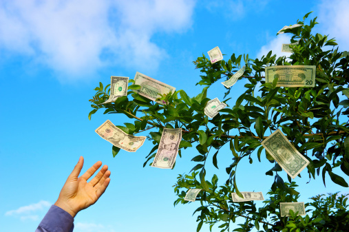 hand reaching up to grab money growing on trees
