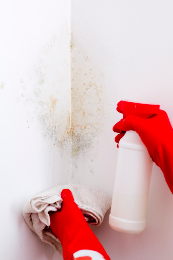 Resident Tips for Mold Management in Your Homeowners Association