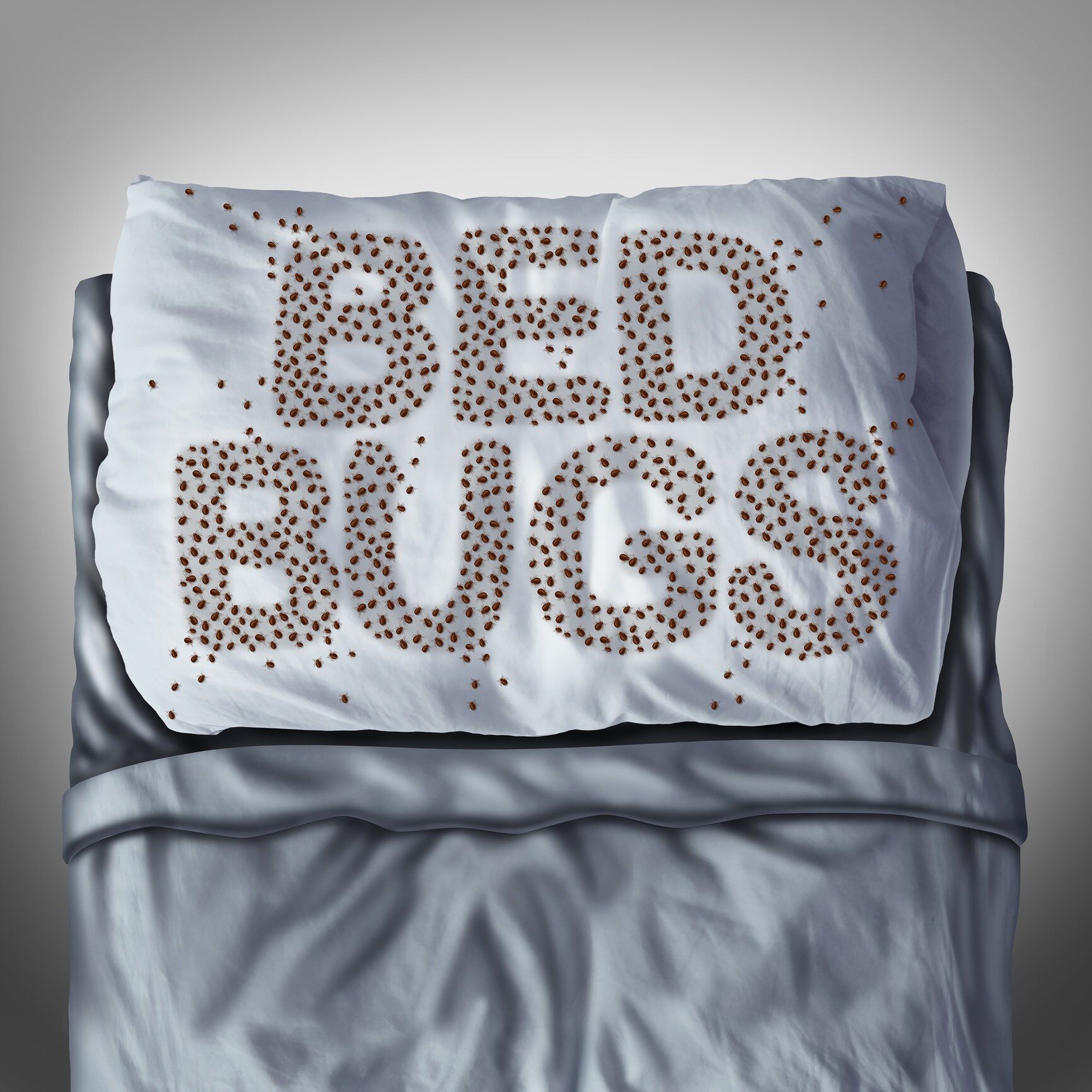 [Survey] How Bed Bugs May Be Affecting Your Homeowners Association