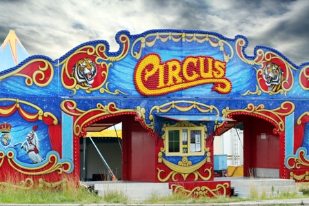 Do Your HOA Board Meetings Feel Like Going to the Circus?