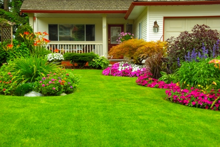 Eco-Friendly Lawn Care Tips for Your Homeowners Association